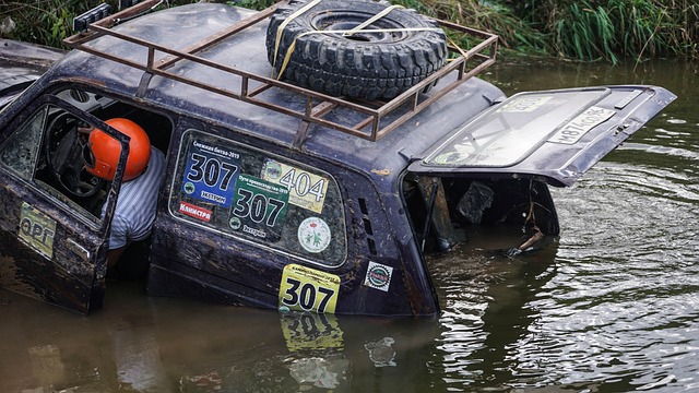 展现出的比 展现出的比