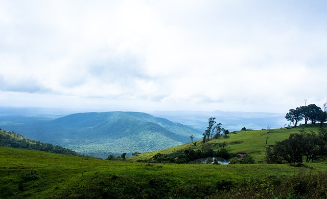 随着赛事正 随着赛事正