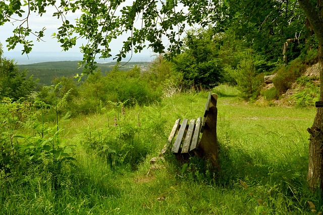 点之一参赛 点之一参赛