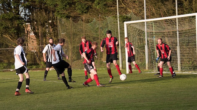 预测交通流 预测交通流