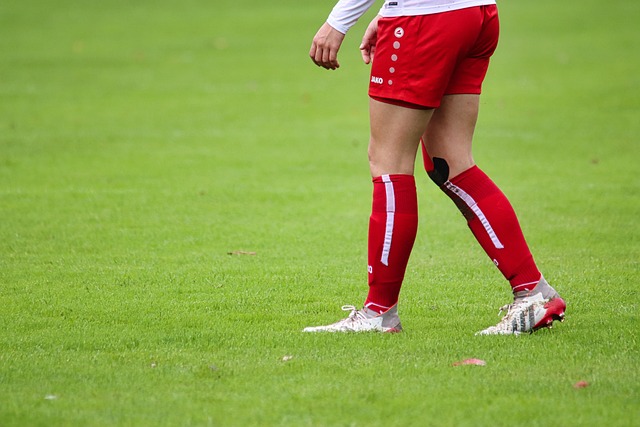 梅西在赛季 梅西在赛季