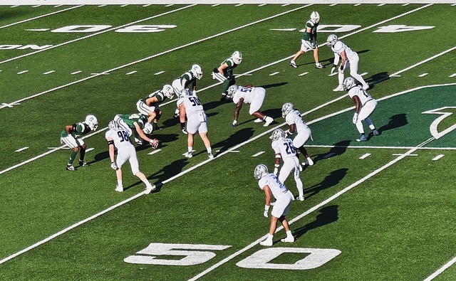 将创造一项 将创造一项