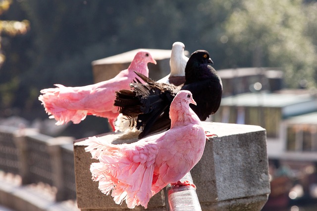 从整个赛季 从整个赛季